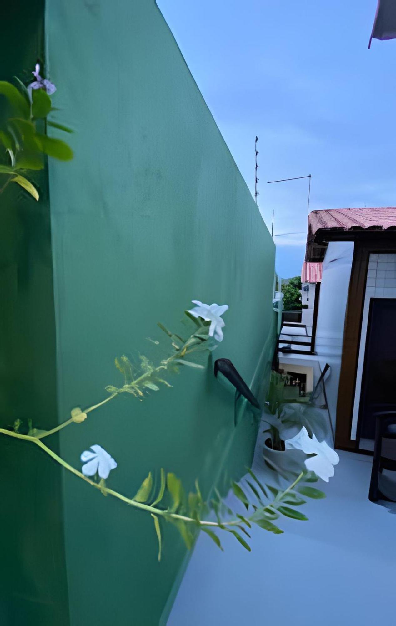 Ventos Do Mar Natal